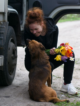 Animal care